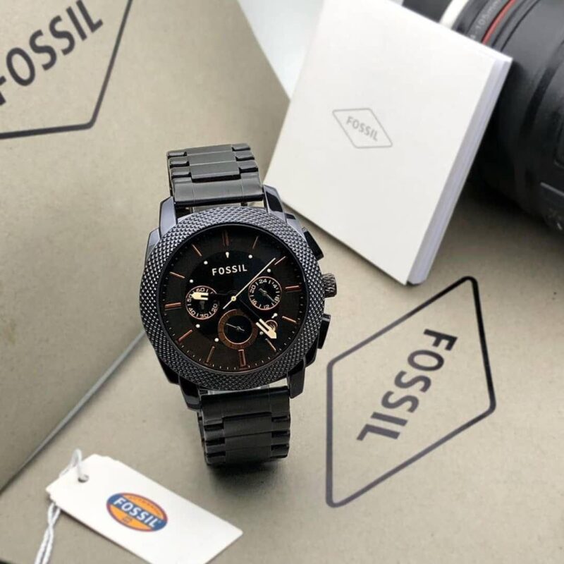 Fossil(Replica)
